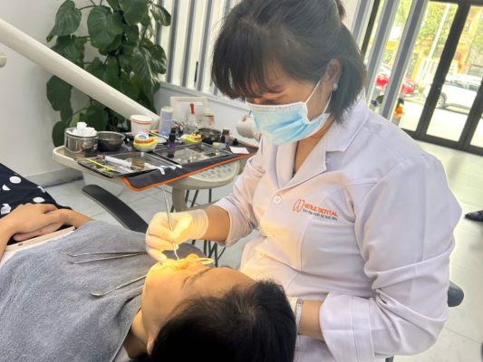 Bác sĩ Lê Thị Yến điều trị nha khoa với sự kỷ luật và chính xác – bài học về cách trồng sầu riêng bền vững