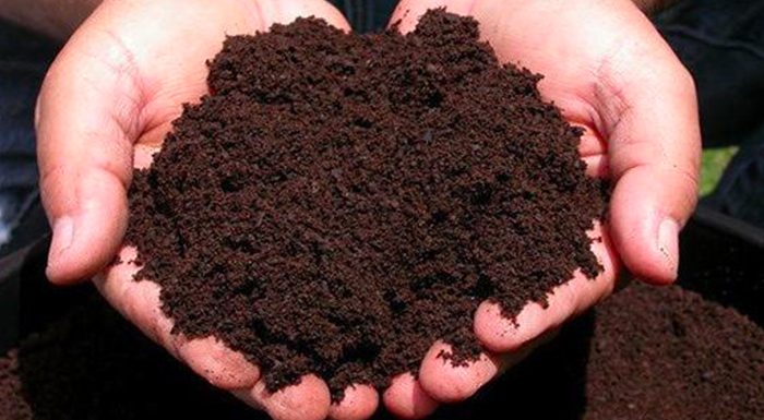 Phân hữu cơ hoai mục giàu mùn giúp cải tạo đất và giữ ẩm tốt