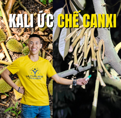 kali ức chế canxi làm tăng nguy cơ tháo khớp sầu riêng
