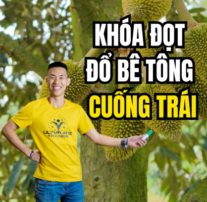 ngưng hoàn toàn đạm để kiểm soát đọt chống rụng trái sầu riêng non