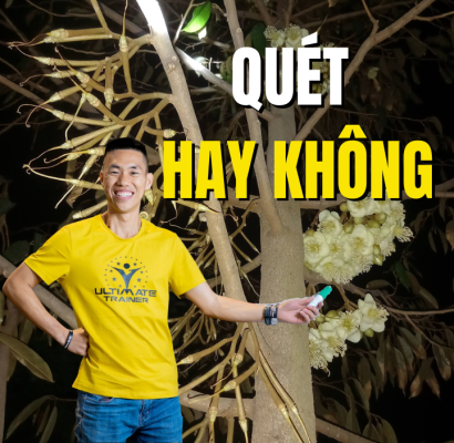 Quét phấn xổ nhuỵ sầu riêng hay để tự nhiên thụ phấn