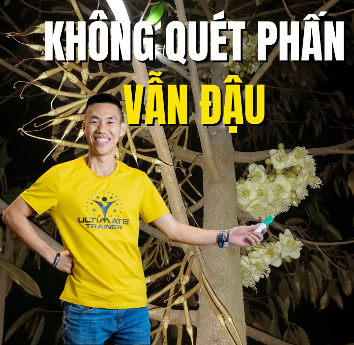 Không quét phấn xổ nhuỵ sầu riêng vẫn đậu trái nhờ dinh dưỡng cân bằng và nội lực cây khỏe