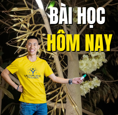 Bài học về quét phấn xổ nhuỵ sầu riêng và cân bằng dinh dưỡng