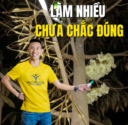 Quét phấn xổ nhuỵ sầu riêng nhiều chưa chắc tăng tỷ lệ đậu trái