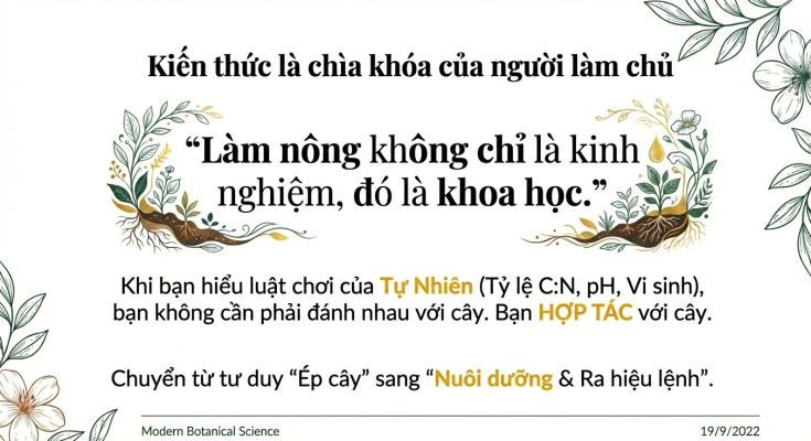 Kiến thức khoa học là nền tảng ra hoa sầu riêng bền vững theo tỷ lệ C N và sinh lý cây