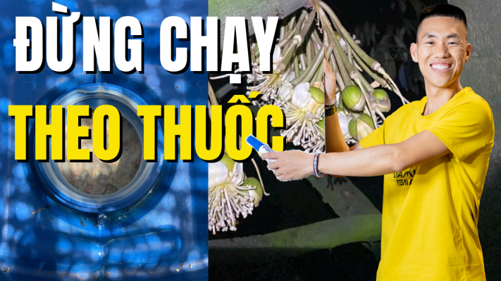 Đừng chạy theo thuốc hóa học khi xổ nhụy sầu riêng