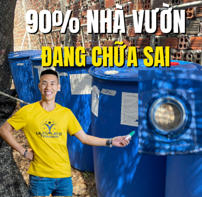 90 phần trăm nhà vườn đang xử lý sai trong chăm sóc sầu riêng