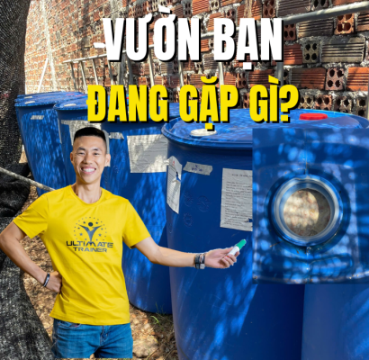 Câu hỏi về vấn đề thường gặp khi canh tác sầu riêng