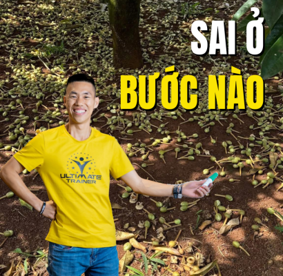 Sai ở bước nào khiến sầu riêng rụng bông khi xổ nhuỵ