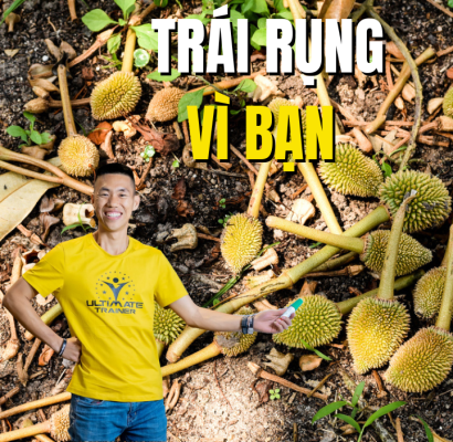 nguyên nhân tháo khớp sầu riêng do mất cân bằng dinh dưỡng