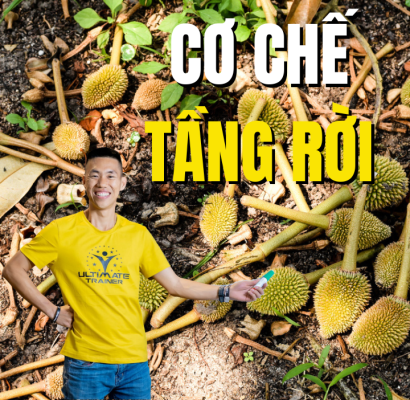 cơ chế tầng rời gây tháo khớp sầu riêng