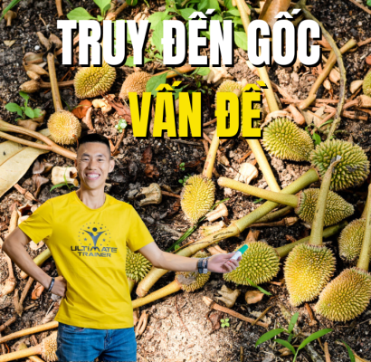 giải pháp ngăn tháo khớp sầu riêng bằng cách truy đến gốc vấn đề