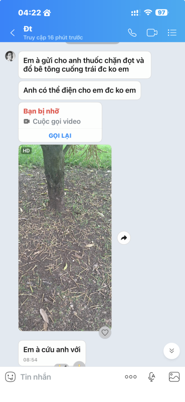 Tin nhắn Bác Tình nhắn giúp Giải pháp khắc phục triệt để hiện tượng rụng trái sầu riêng sinh lý mùa mưa dông