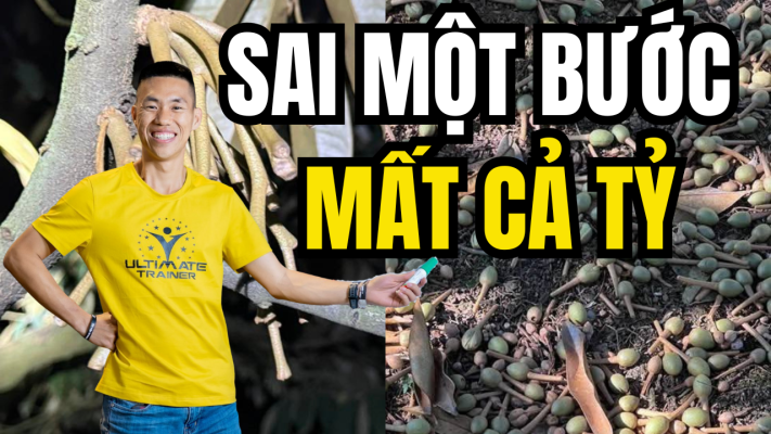 Bón phân kéo đọt sai là mất bạc tỷ