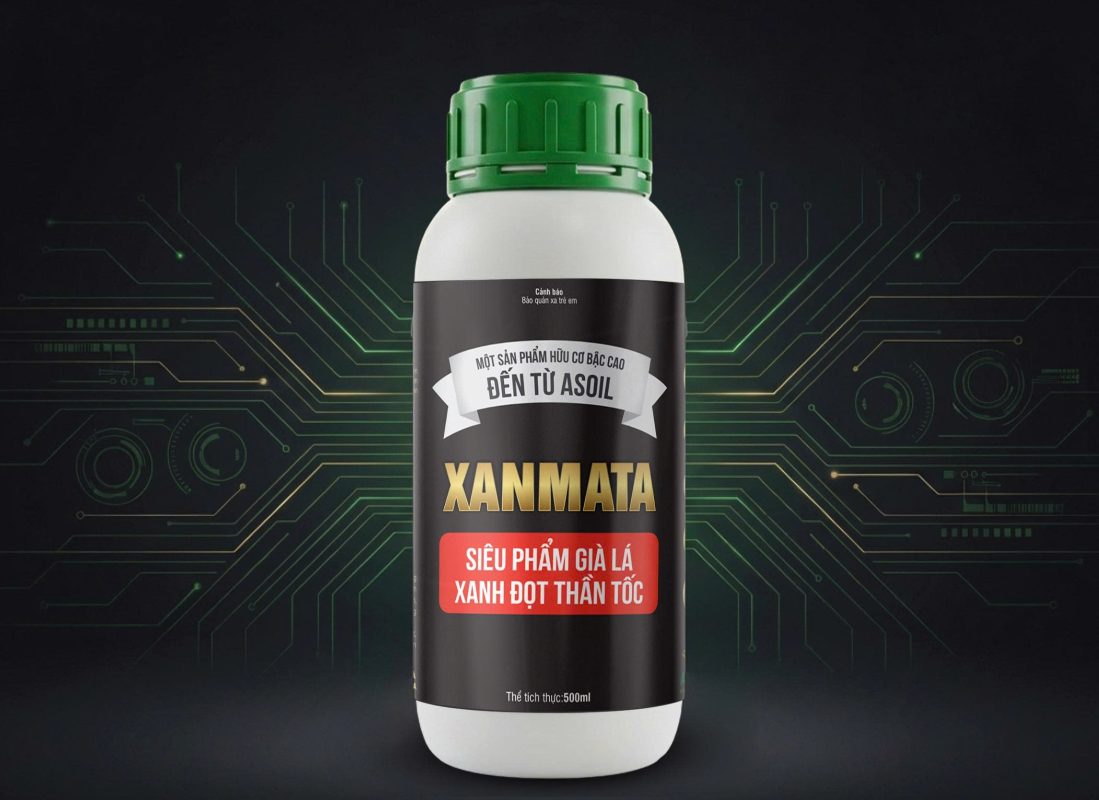 Thuốc chặn đọt sầu riêng Xanmata giúp kiểm soát đọt hiệu quả chống rụng trái non sầu riêng