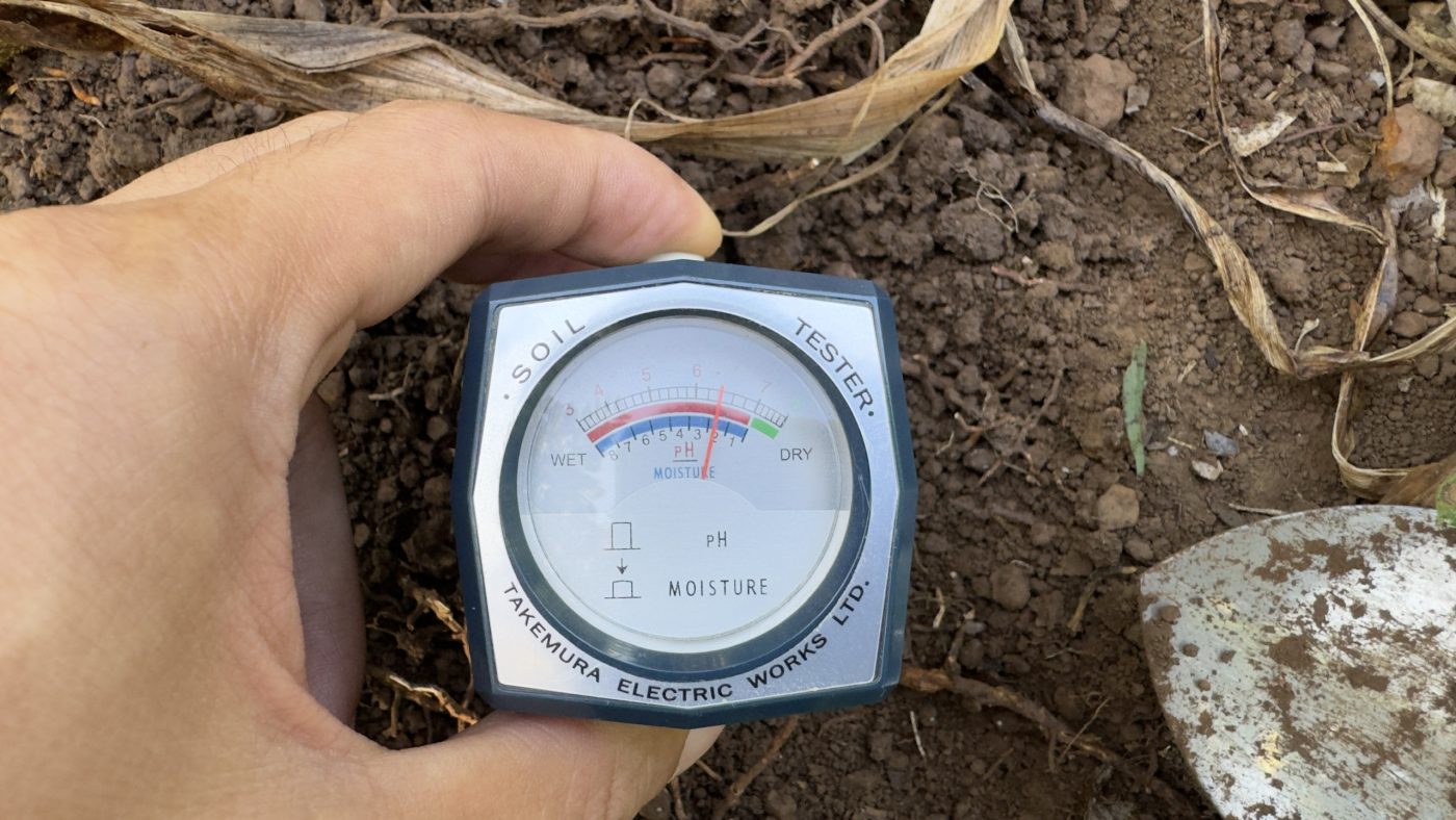 ổn định độ ph để giúp chống rụng trái sầu riêng