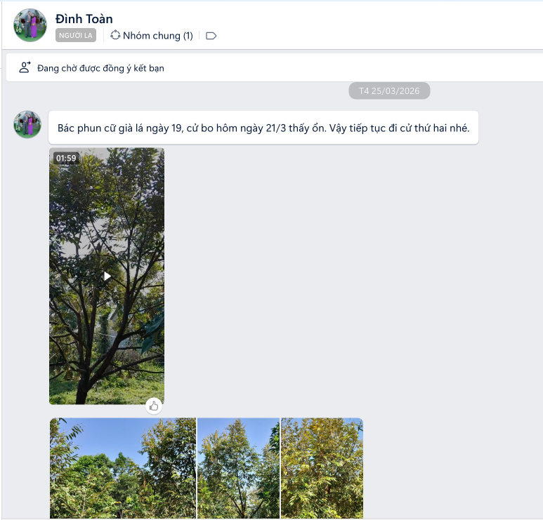 Bác Toàn phản hồi sau khi sử dụng sản phẩm chặn dọt Xanmata