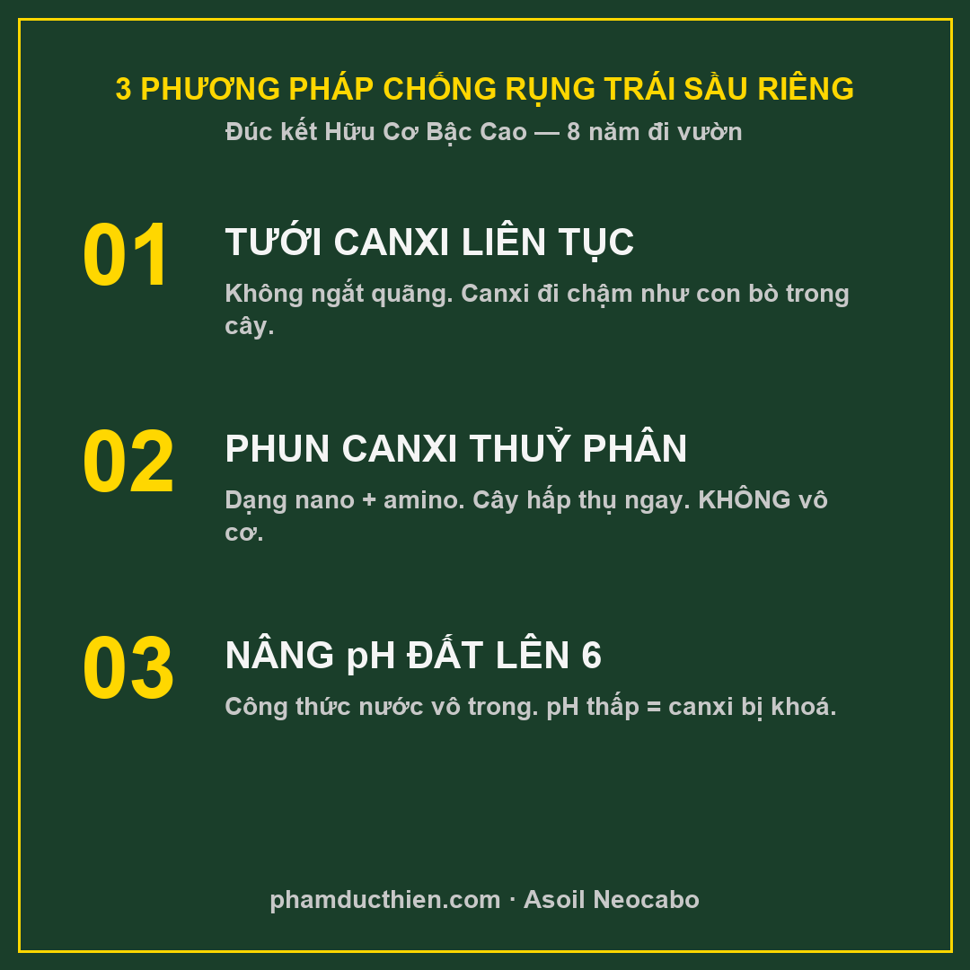 3 phương pháp Hữu Cơ Bậc Cao chống rụng trái sầu riêng giai đoạn nuôi trái