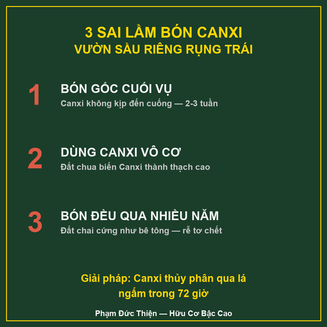 3 sai lầm phổ biến khi bón canxi sầu riêng cuối vụ 3 sai lầm bón canxi sầu riêng khiến vườn rụng trái non