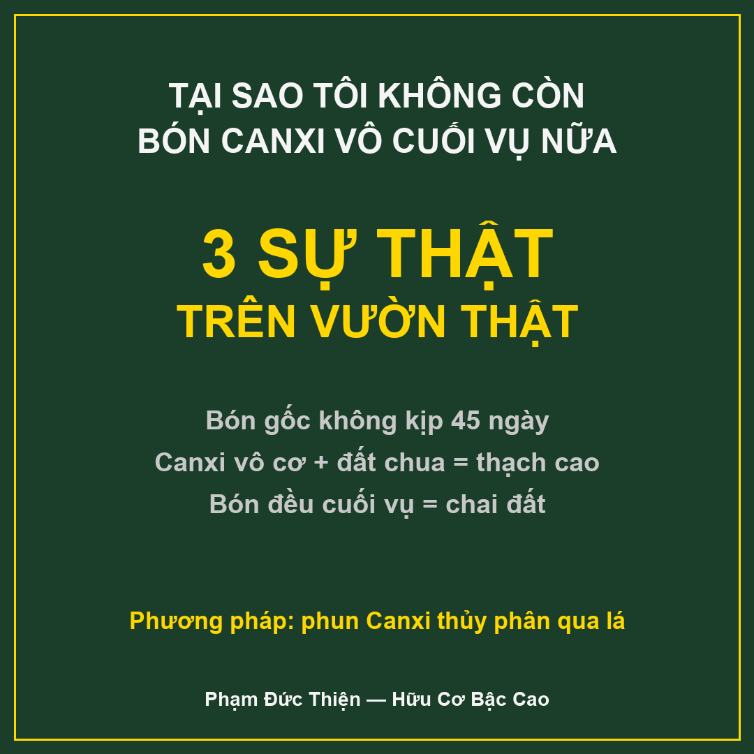 Bón canxi sầu riêng cuối vụ - 3 sự thật khiến tôi bỏ hẳn thói quen Bón canxi sầu riêng cuối vụ là sai lầm phổ biến - Hữu Cơ Bậc Cao