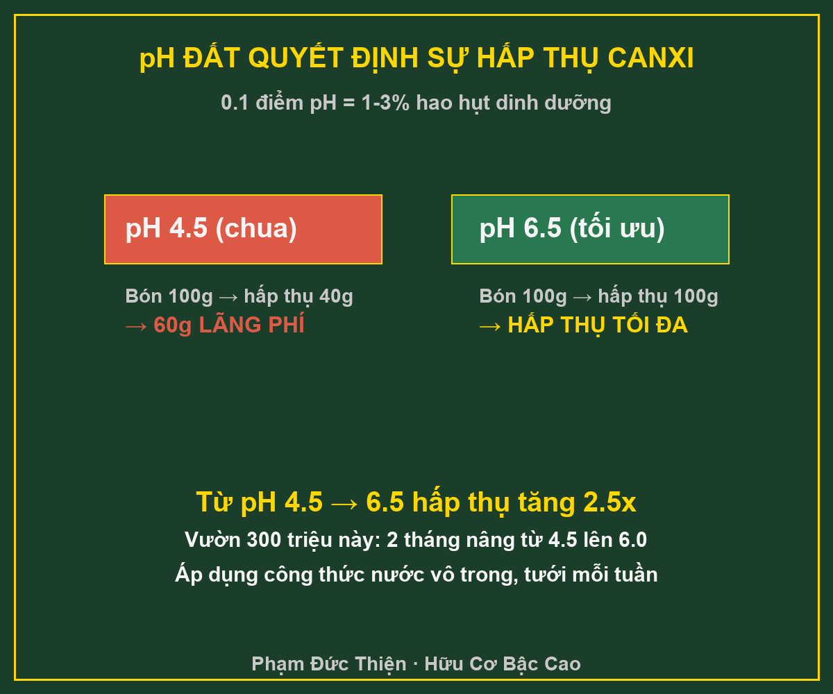 pH đất 4.5 vs 6.5 quyết định hấp thụ canxi cây sầu riêng chống rụng trái