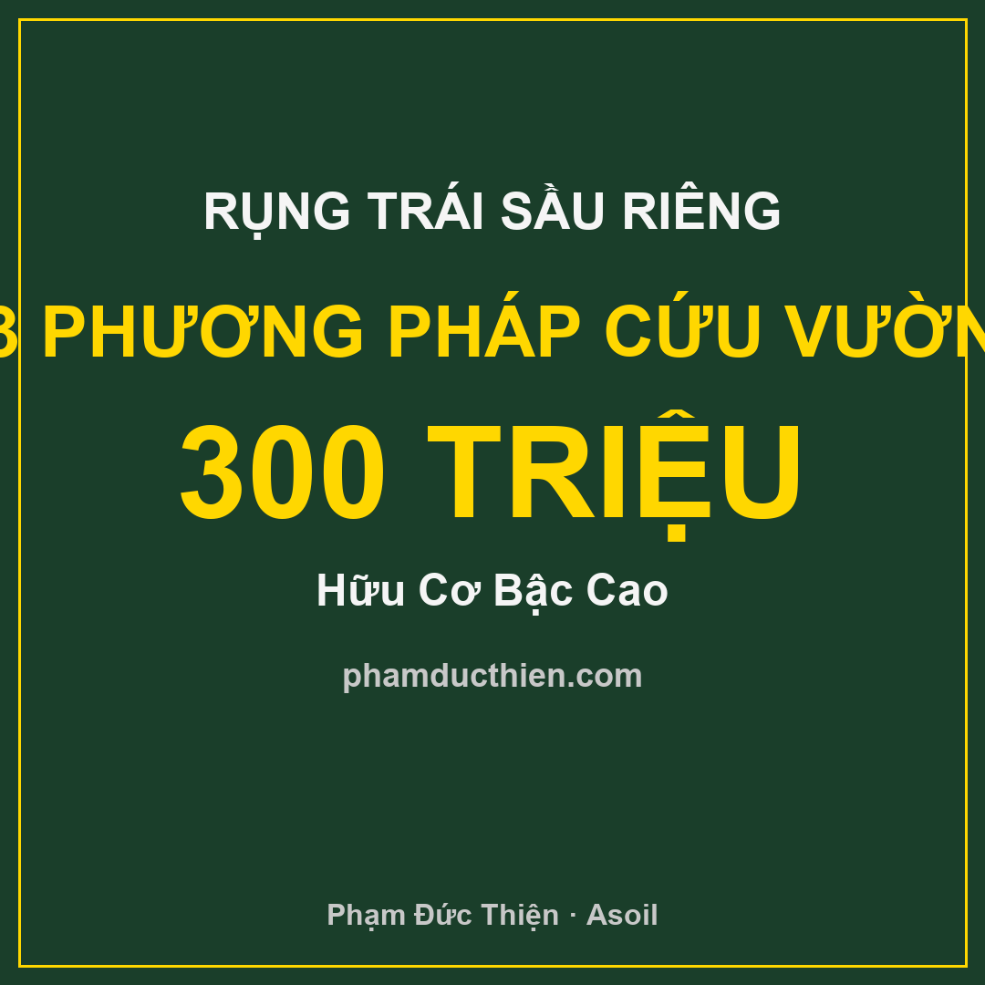 3 phương pháp Hữu Cơ Bậc Cao cứu vườn sầu riêng 300 triệu khỏi rụng trái