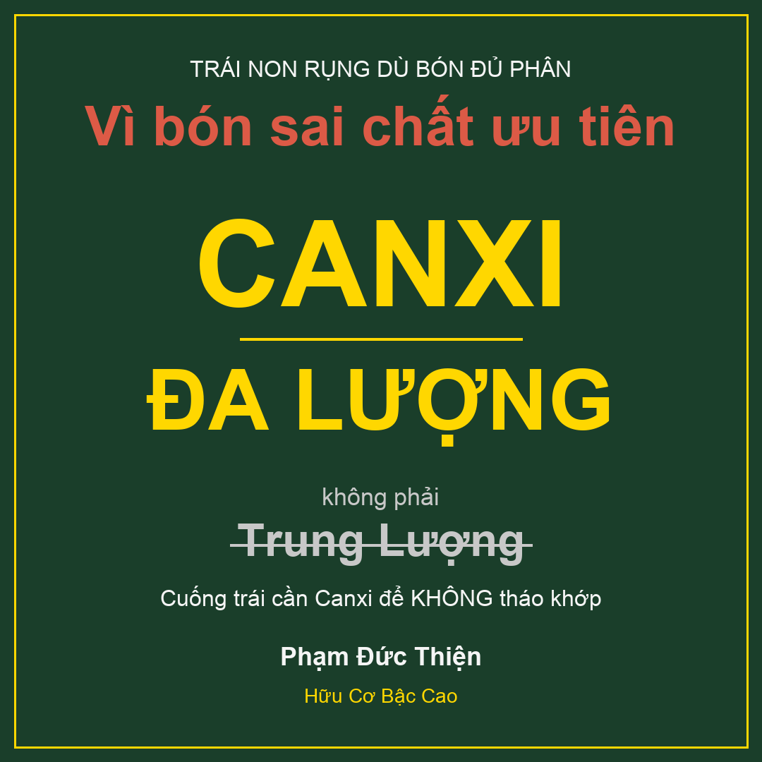 Rụng trái sầu riêng - Canxi đa lượng Hữu Cơ Bậc Cao